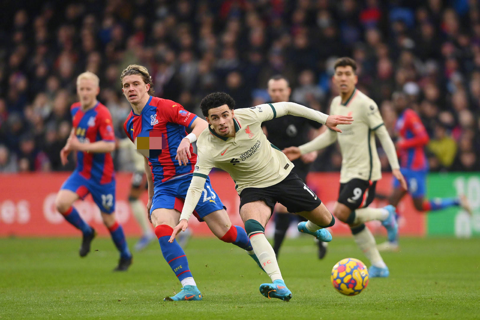 锋线球员可 锋线球员可